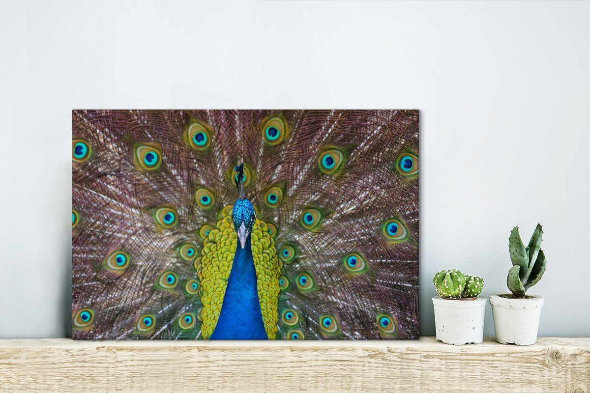 Pfau OneMillionCanvasses® (1 Leinwandbild Augen, 30x20 Wandbild Leinwandbilder, Aufhängefertig, Federn St), - Wanddeko, cm -