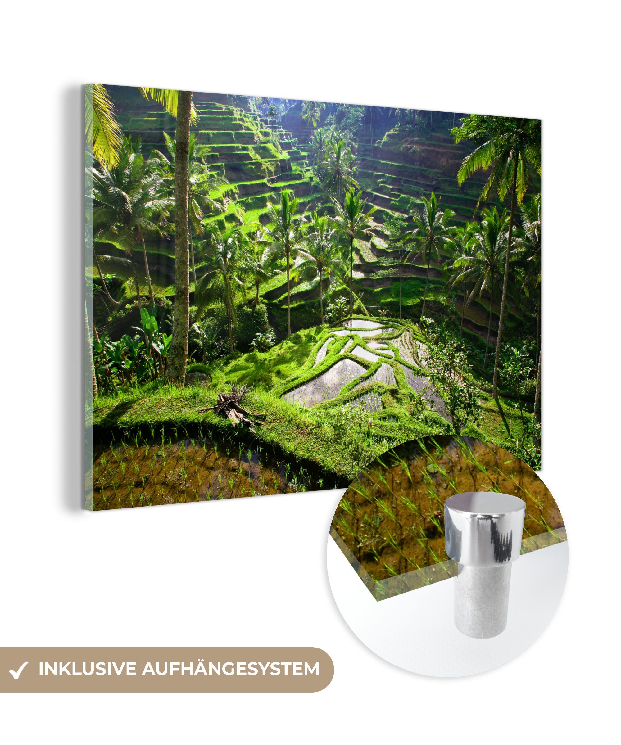 MuchoWow Acrylglasbild Spektakuläre Reisfelder nördlich von Ubud, (1 St), Acrylglasbilder Wohnzimmer & Schlafzimmer