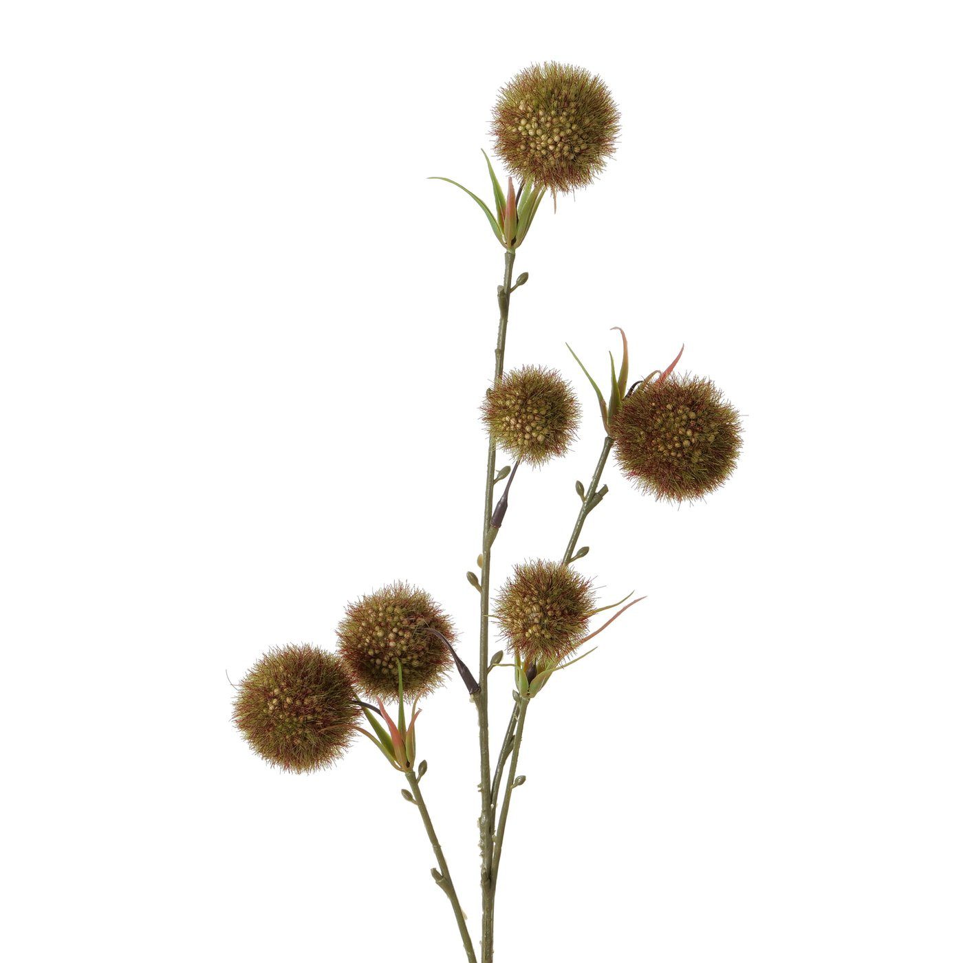 Kunstzweig Dekozweig Allium, 64 cm hoch, Braun oder Dunkelrot oder Hellrot, BOLTZE