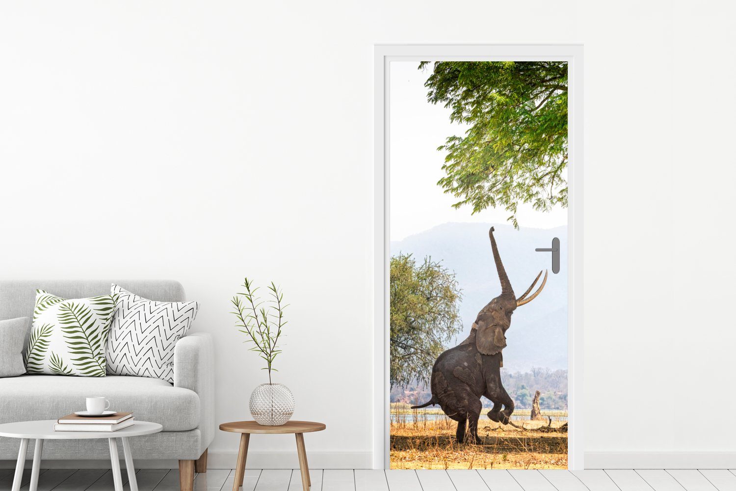 Tür, Baum Matt, Elefant Türtapete 75x205 cm Blätter, MuchoWow (1 St), Türaufkleber, bedruckt, - - Fototapete für