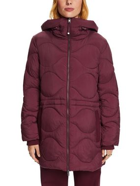 Esprit Collection Steppjacke Steppjacke mit Kapuze