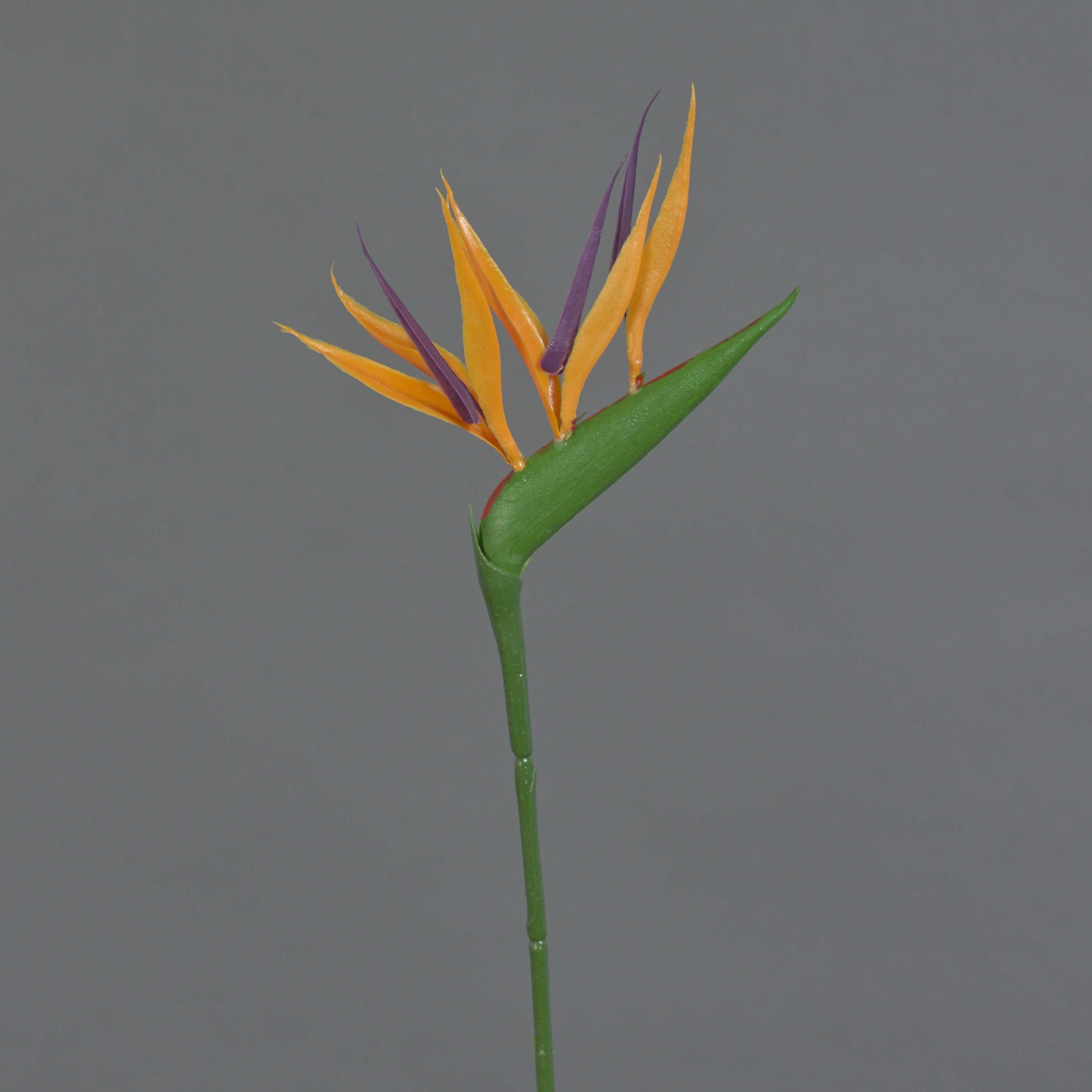Kunstblume Künstliche Blume Strelitzie ZETKIN, orange - violett, 65cm Strelitzie, artplants, Höhe 65.0 cm