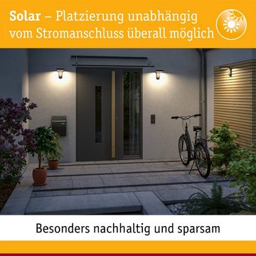 Paulmann LED Außen-Wandleuchte Solar Eileen IP44 3000K 400lm Schwarz, LED fest integriert, Warmweiß, Bewegungsmelder