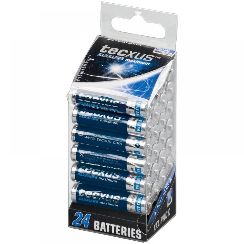 tecxus Batterien Alkaline Micro AAA, 24er XXL Multipack Batterie