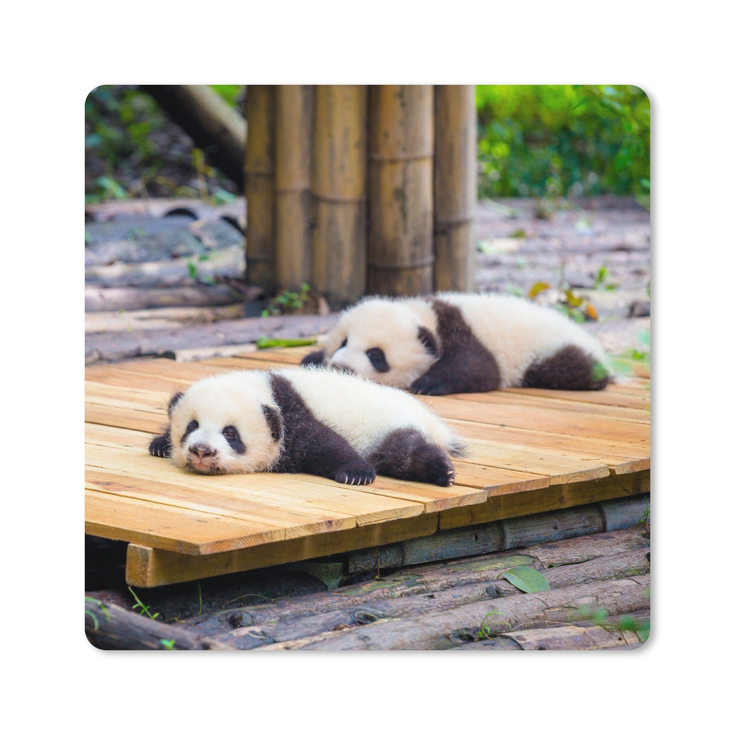 MuchoWow Gaming Mauspad Pandas - Boden - Holz (1-St), Gaming, Rutschfester Unterseite, Mausunterlage, 60x60 cm, XXL, Großes