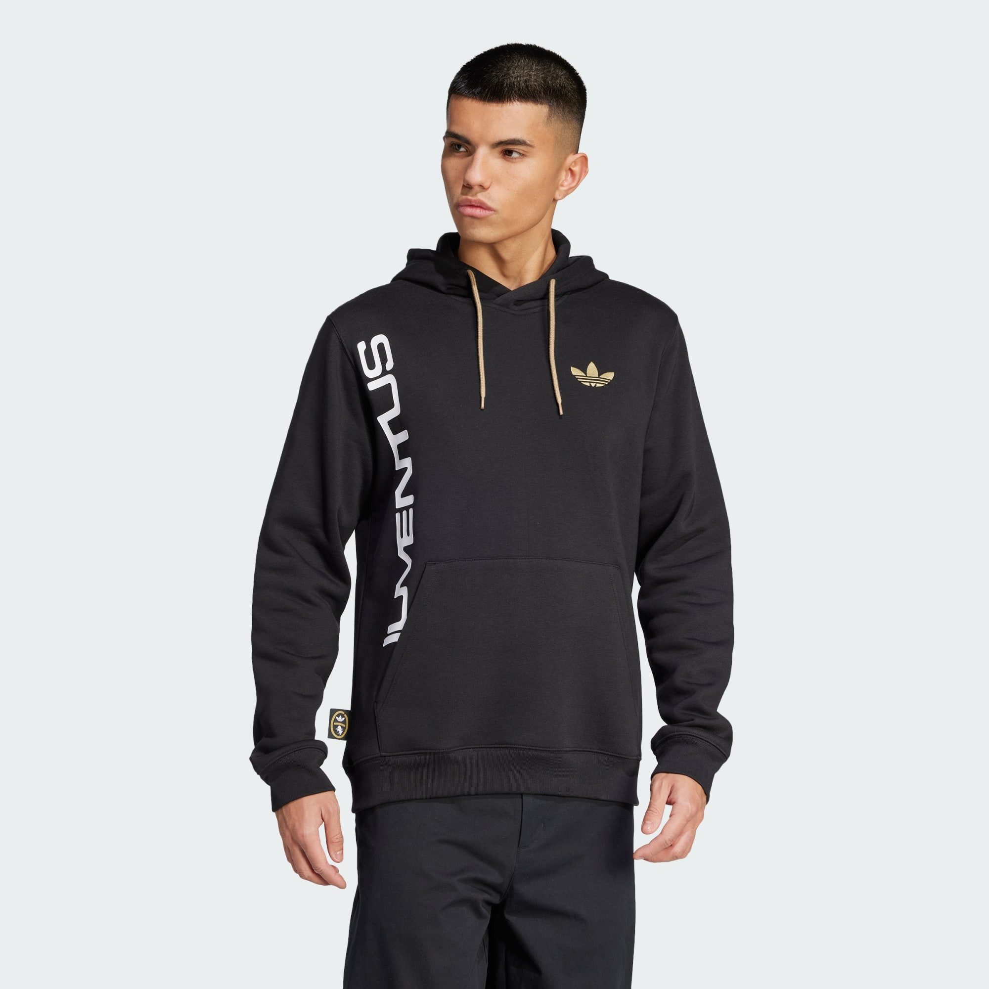 Adidas originals graphic hoodie online