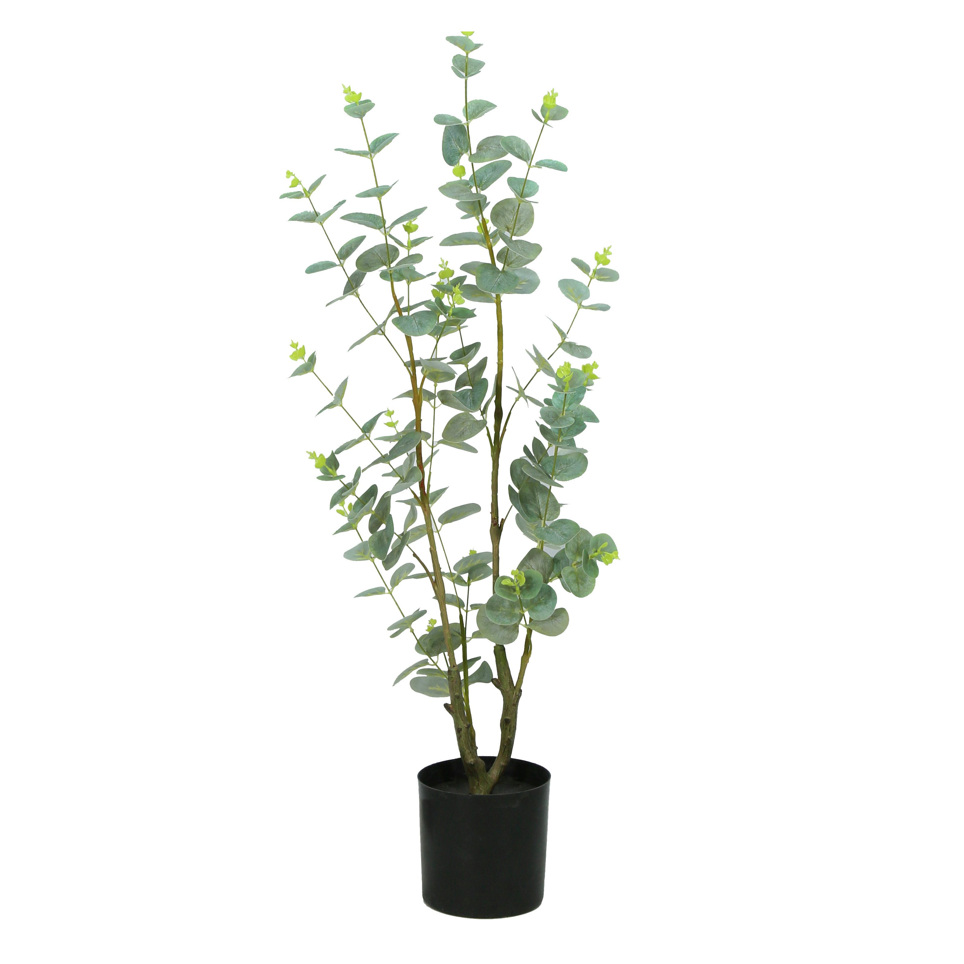 Kunstpflanze Eukalyptus, Kunstpflanze, künstliche Pflanze, realistisch, günstig online kaufen