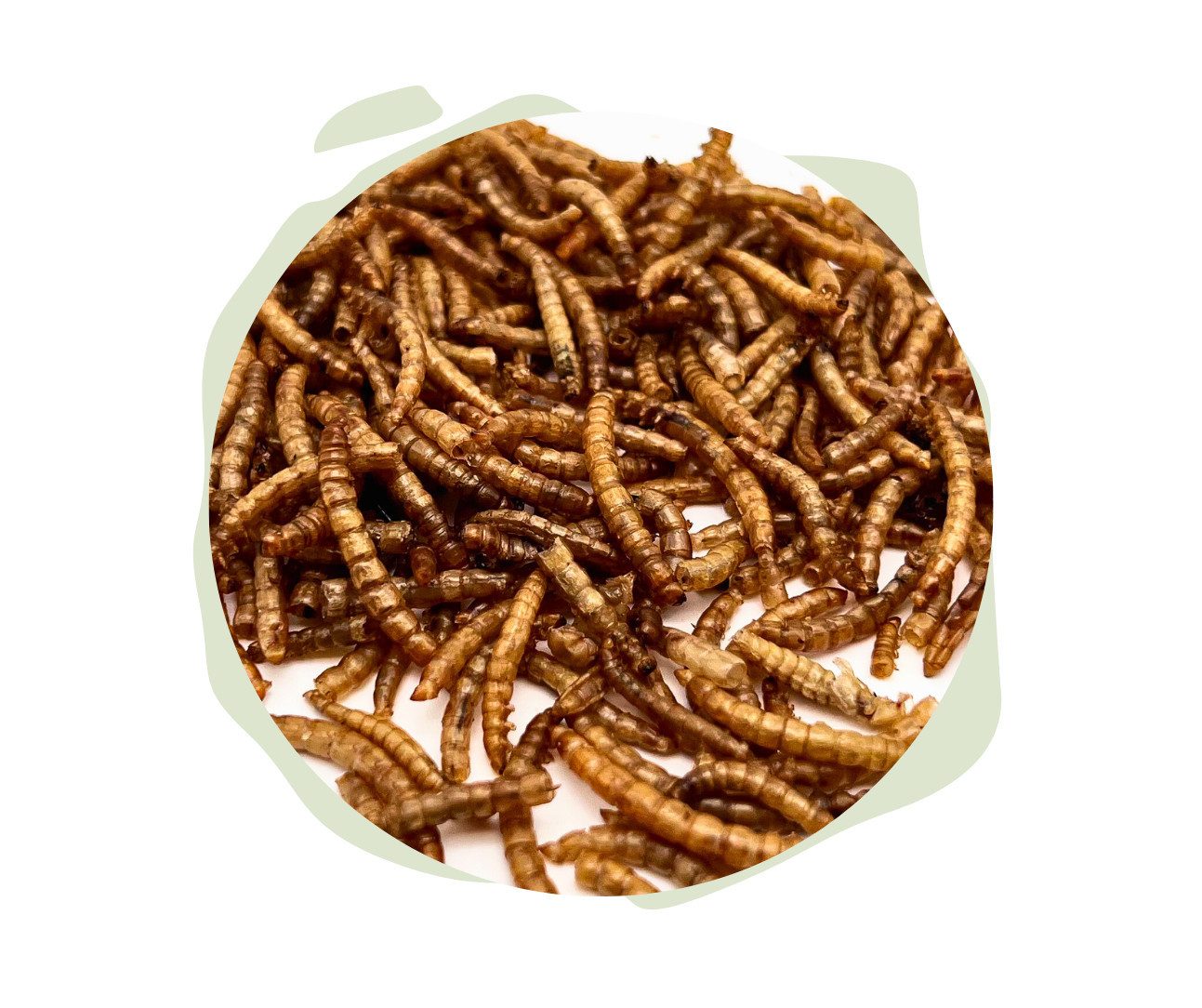 Warnick´s Tierfutterservice Mehlwürmer getrocknet - Futterergänzung für Fische, Vögel & Reptilien, Ergänzungsfutter für: Fische, Vögel, Reptilien & Amphibien, Nager