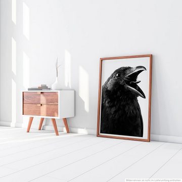 Sinus Art Poster Tierfotografie 60x90cm Poster Krächzende Krähe schwarz weiß