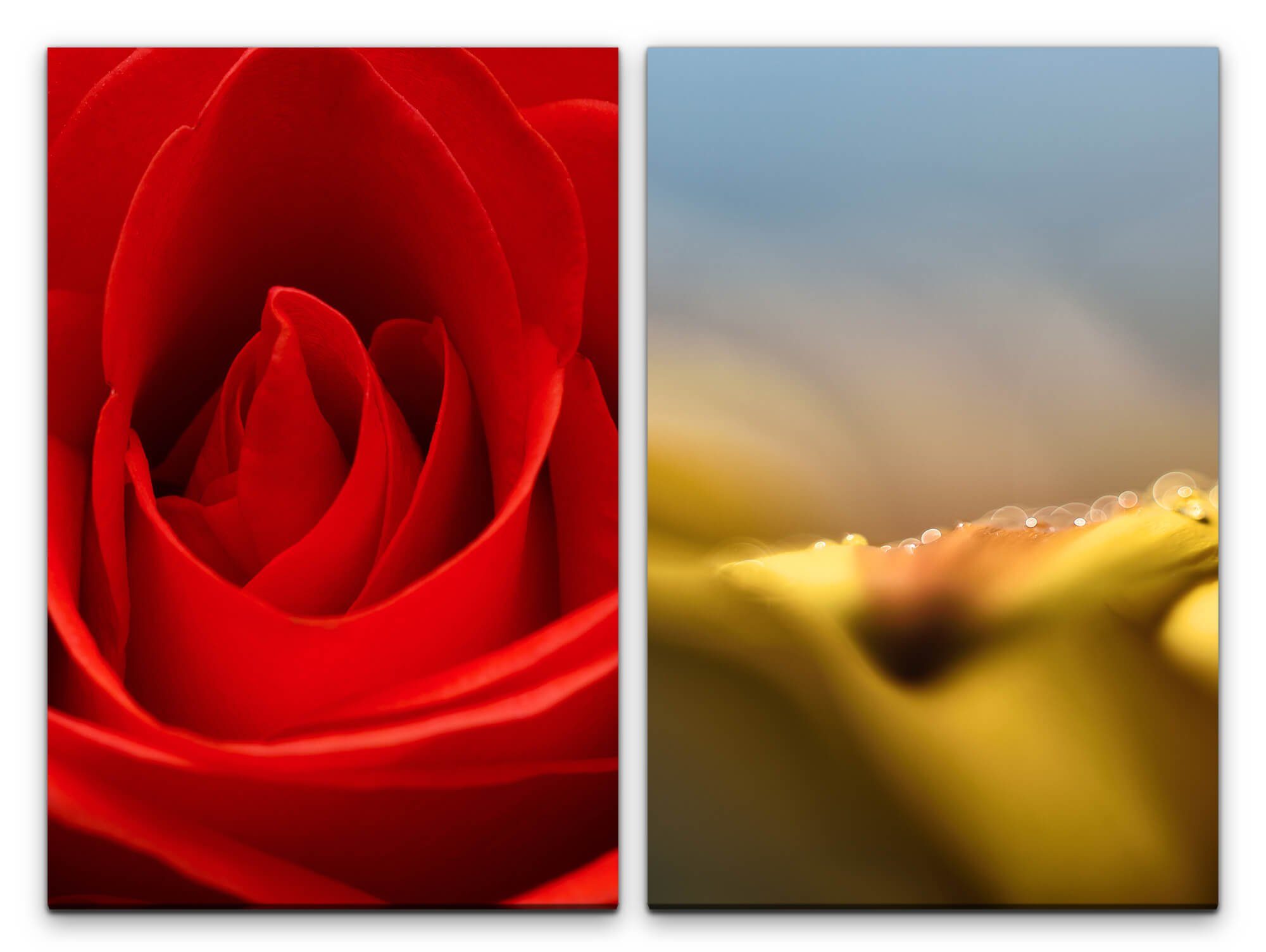 Sinus Art Leinwandbild 2 Bilder je 60x90cm Rose rote Blüte Dessous Liebe Romantisch Weich Feminin