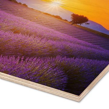 Posterlounge Holzbild Editors Choice, Sonne über dem Lavendel, Mediterran Fotografie