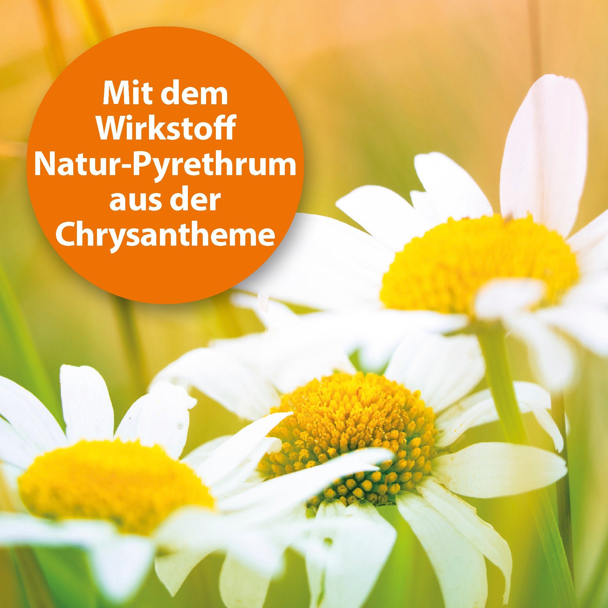 Ardap Insektenspray Ardap Spot-On für Kleintiere günstig online kaufen