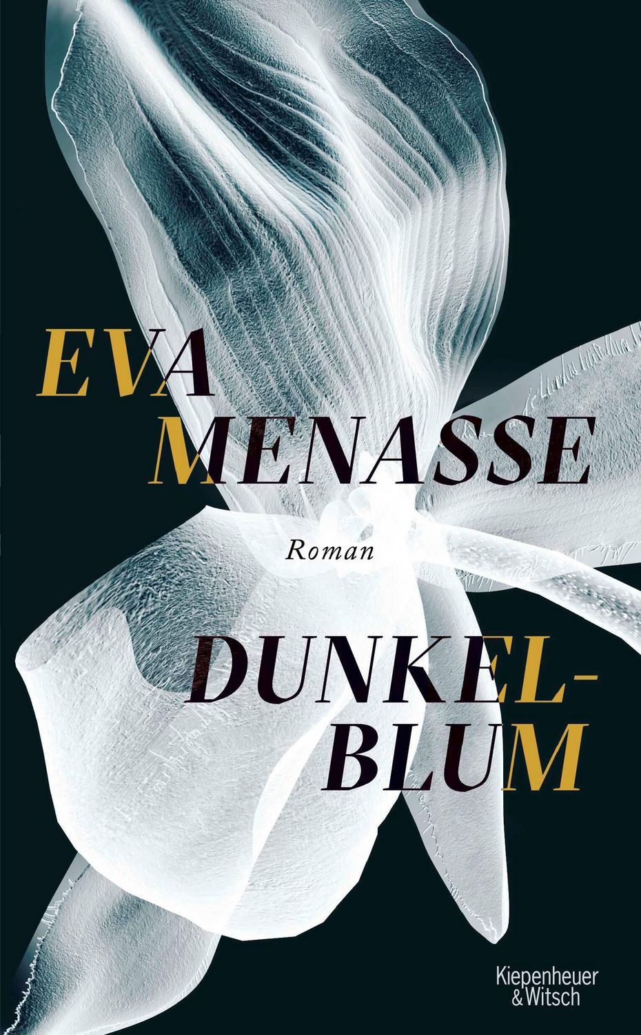 Dunkelblum / Eva Menasse