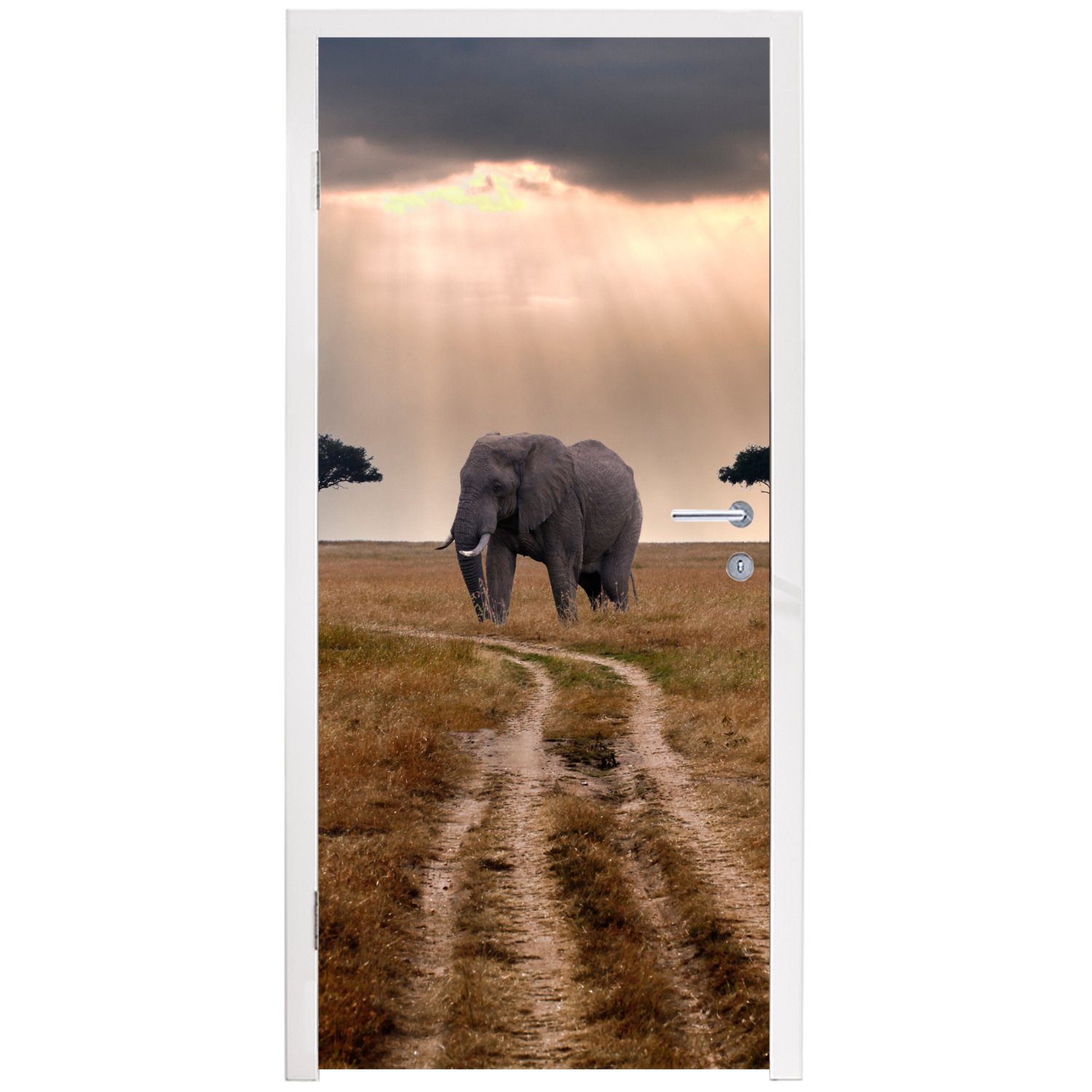 bedruckt, Türtapete Elefant Wiese - Türaufkleber, für Sonne, Tür, Matt, - cm Fototapete 75x205 Tiere (1 MuchoWow - St),