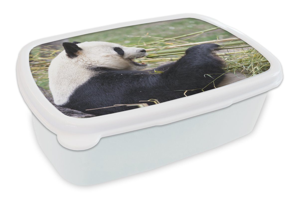 MuchoWow Lunchbox Pandabär - Tiere - Bambus, Kunststoff, (2-tlg), Brotbox für Kinder und Erwachsene, Brotdose, für Jungs und Mädchen weiß