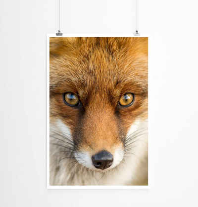 Sinus Art Poster Roter europäischer Fuchs 60x90cm Poster