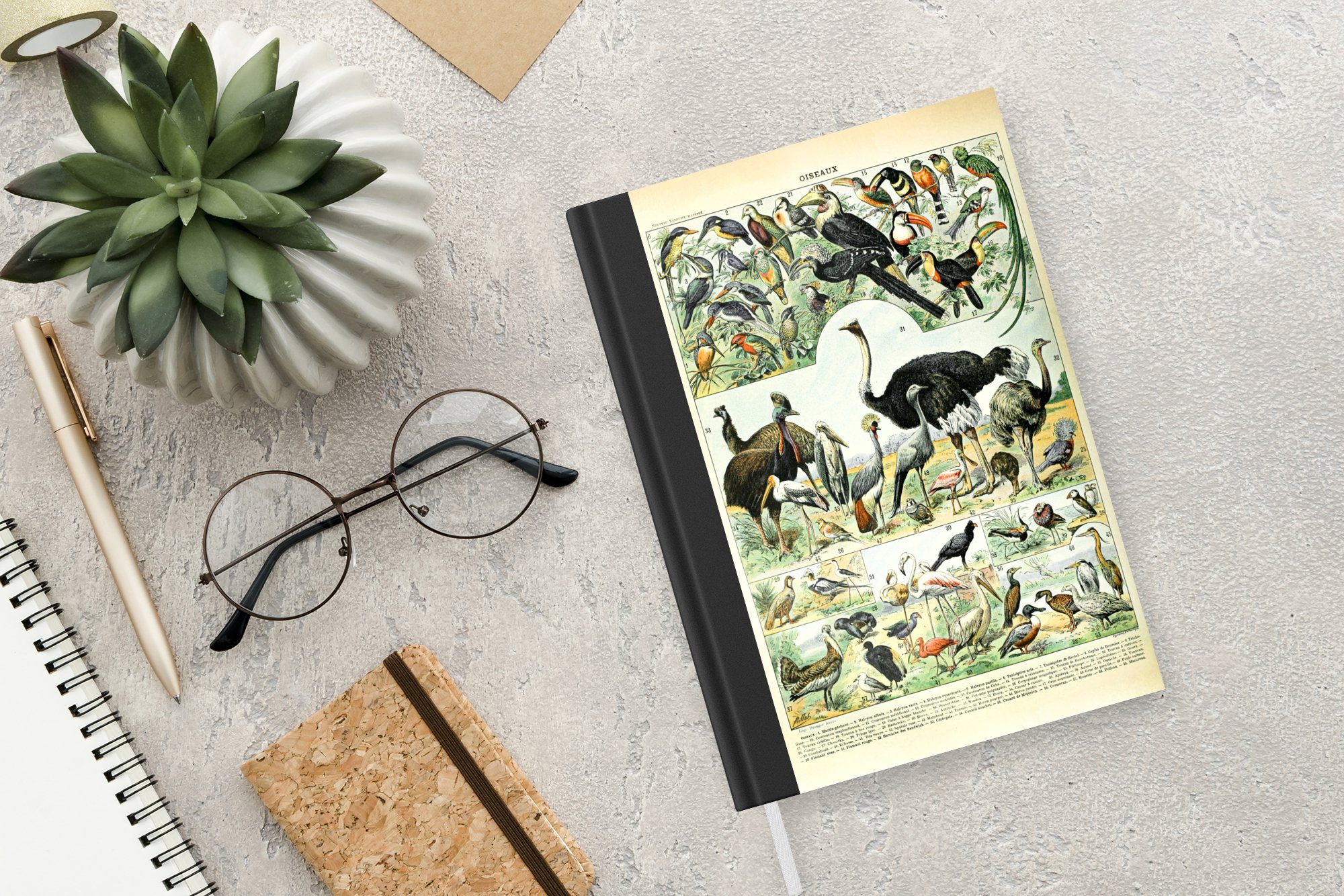 Journal, Tiere - Seiten, Design, 98 MuchoWow Tagebuch, - Notizbuch Haushaltsbuch A5, Notizheft, Merkzettel, Vögel