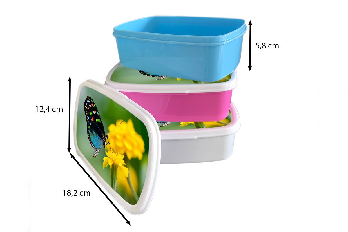 Erwachsene, Jungs Kinder für Kunststoff, weiß und Blume Lunchbox - für Brotdose, - Brotbox Insekt, und (2-tlg), MuchoWow - Schmetterling Mädchen Tier