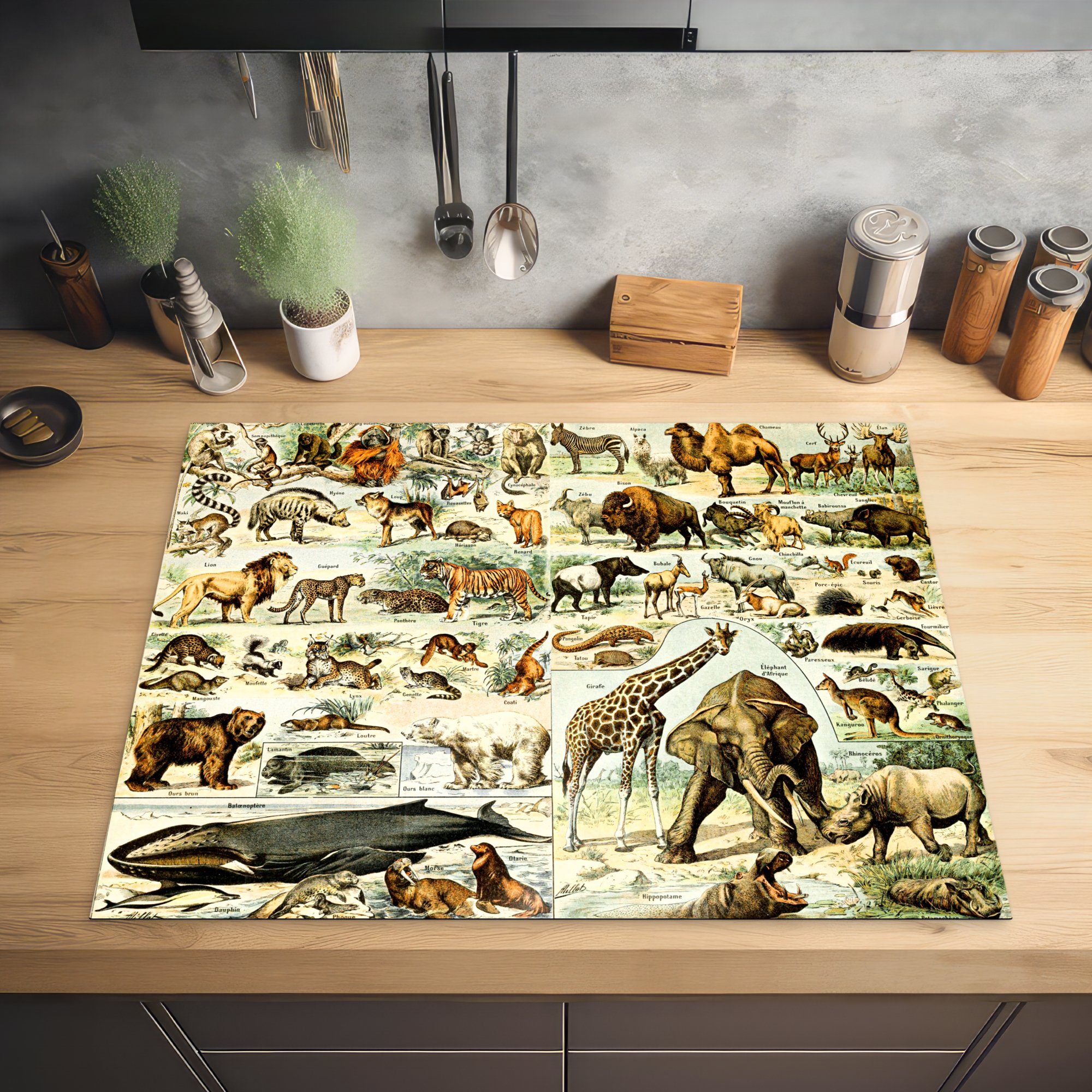 77x59 (1 für Herdblende-/Abdeckplatte Ceranfeldabdeckung, Tiere Bär, - küche Arbeitsplatte - tlg), Giraffe cm, Vinyl, MuchoWow