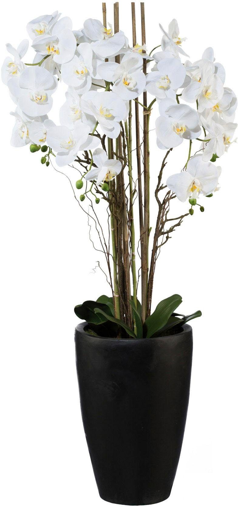 Höhe Phalaenopsis cm green, Orchidee, Kunstpflanze Creativ 120
