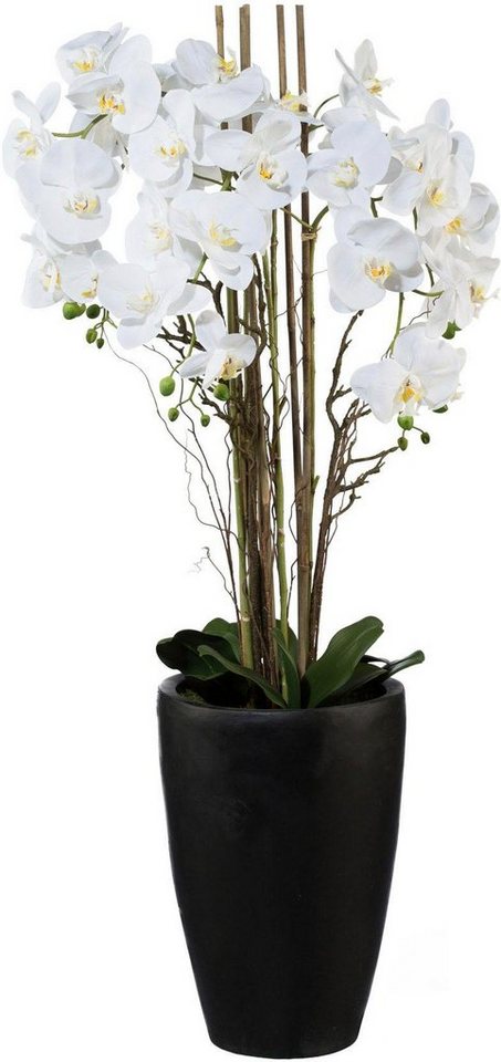 Kunstpflanze Phalaenopsis Orchidee, Creativ green, Höhe 120 cm