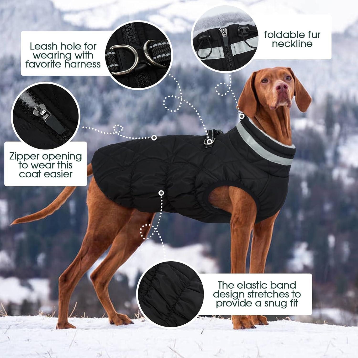 LuxusKollektion Hundejacke Hundejacke Wasserdicht Fleecefutter Winddicht M Durchgehend schwarz
