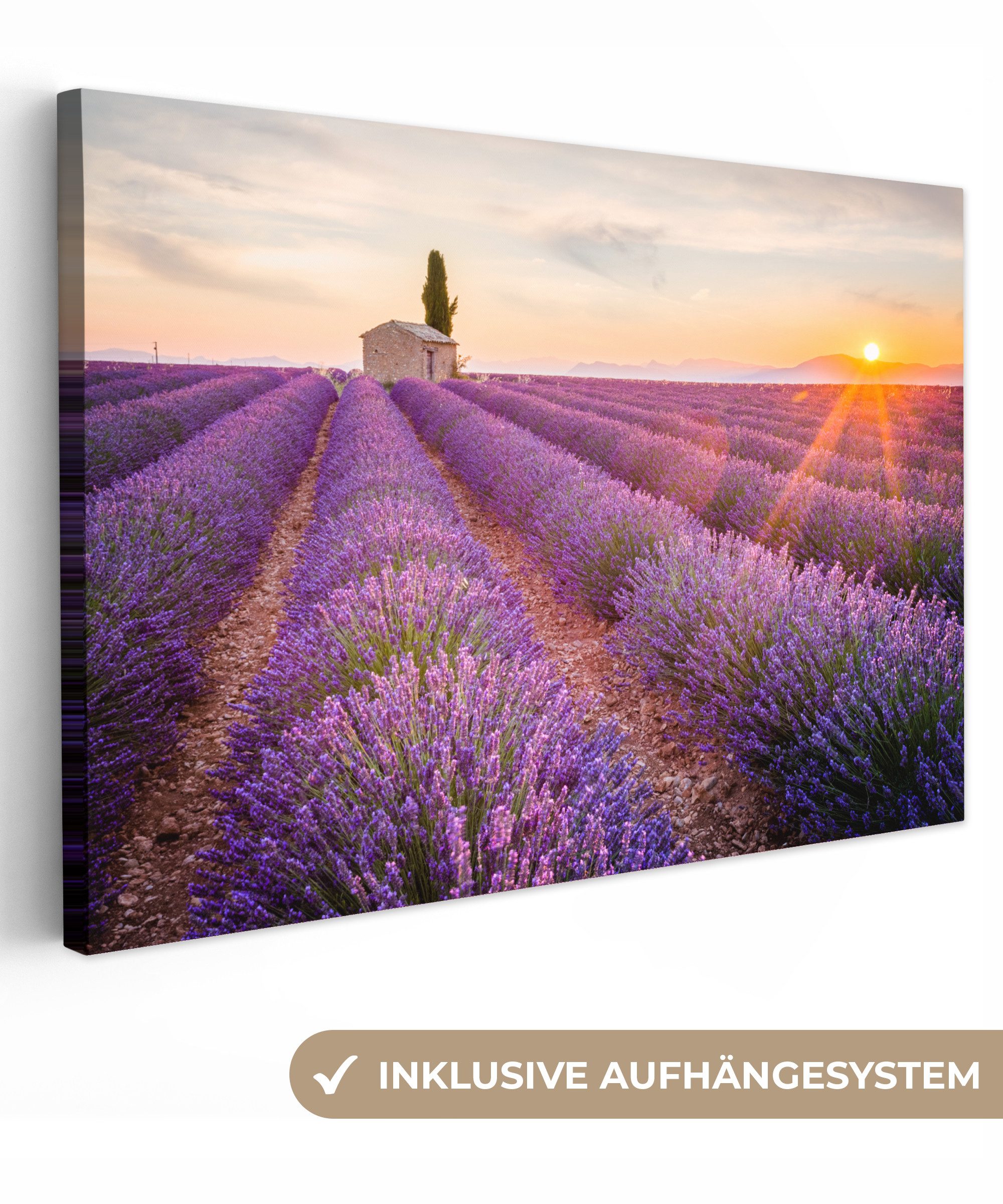 OneMillionCanvasses® Leinwandbild Lavendel - Sonnenuntergang - Blumen - Lila, Fotodruck (1 St), Leinwand Bilder Klein, Wand Dekoration Aesthetic 30x20 cm