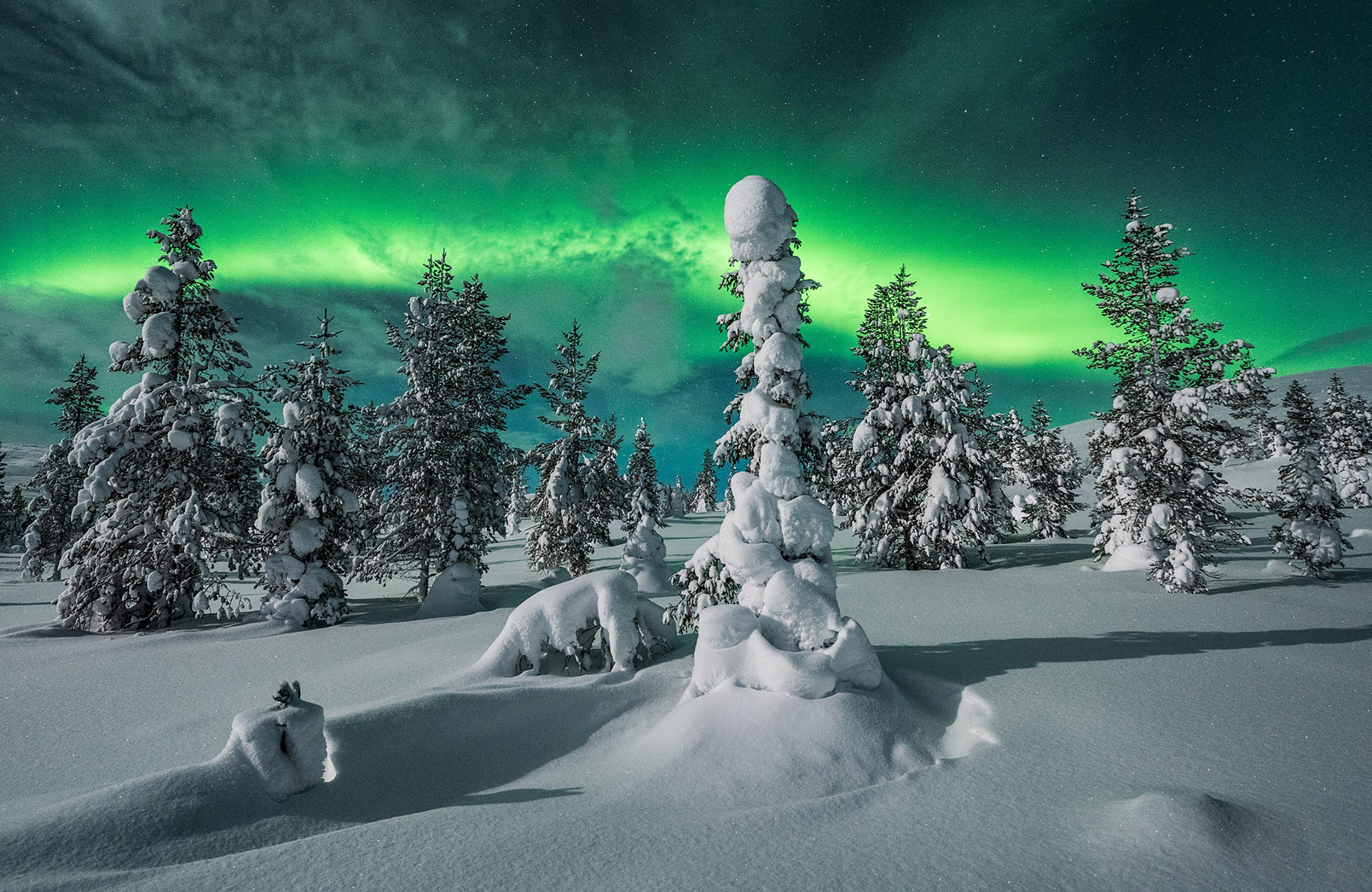 Papermoon Fototapete "NEU" PREMIUM-VLIES-Tapete, leicht strukturiert, Seidenmatt, restlos trocken abziehbar, (komplett Set inkl. Обоиkleister, 7564), Nordlichter