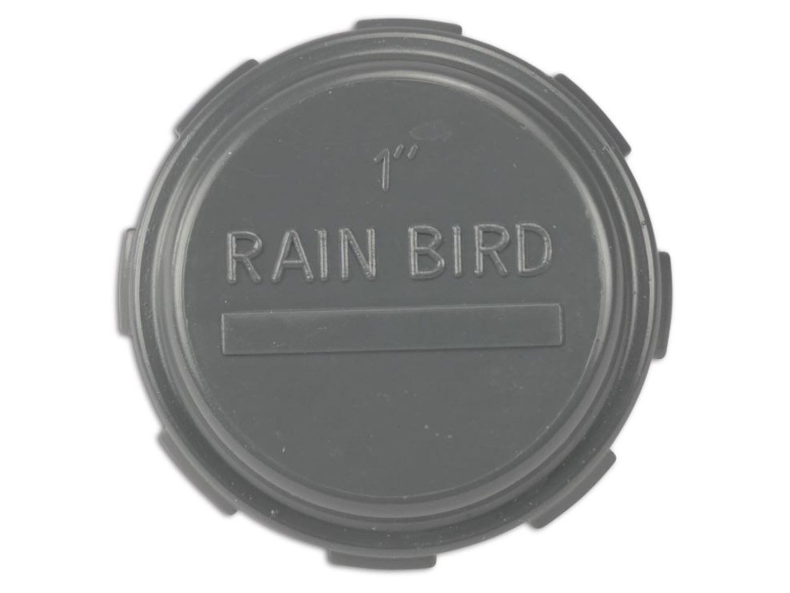 Rain Bird Gewindefitting Rain Bird PVC Gewindekappe grau - 1 Zoll IG