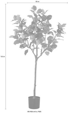Kunstbaum, Schneider, Höhe 150 cm, Maße (H): 150/80 cm