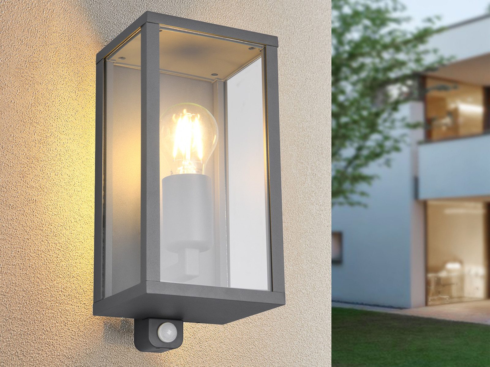 TRIO Leuchten LED Außen-Wandleuchte, Bewegungsmelder, LED günstig online kaufen