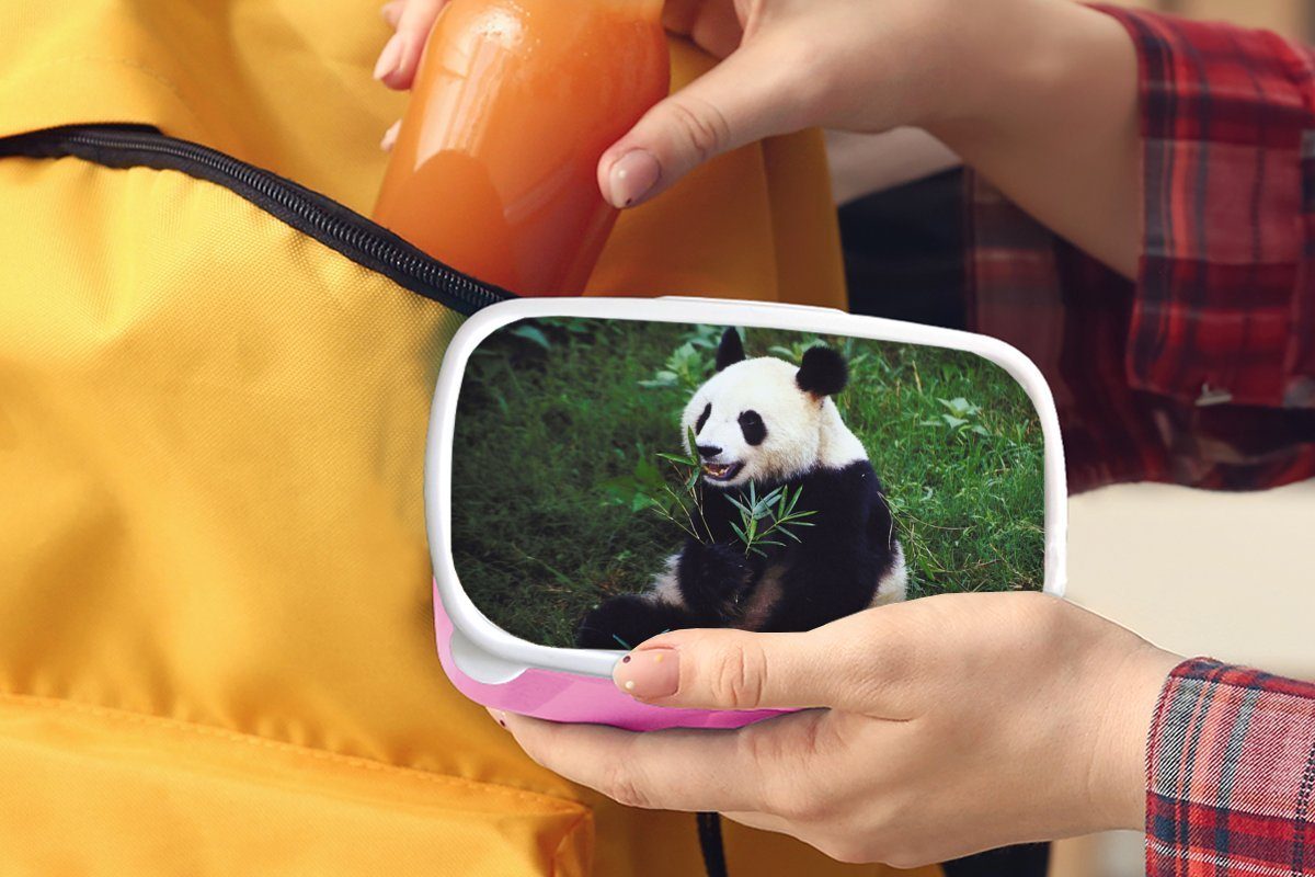 MuchoWow Lunchbox Panda - Tiere Brotdose Brotbox Wilde Kunststoff Kinder, Bambus Gras, - Mädchen, Erwachsene, (2-tlg), Snackbox, - Kunststoff, für rosa