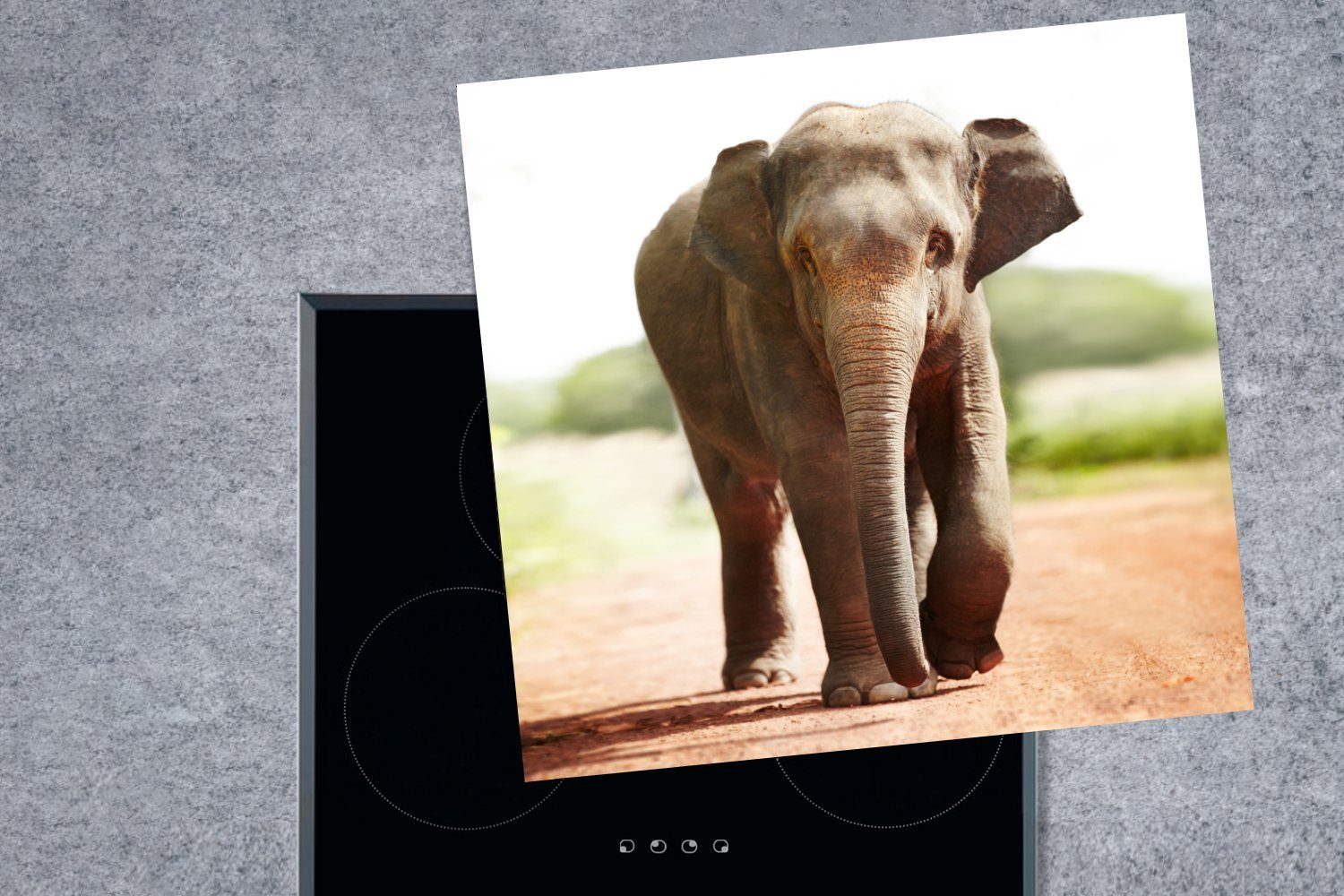 MuchoWow Herdblende-/Abdeckplatte Elefant - Safari, tlg), Sonne (1 für Vinyl, cm, Arbeitsplatte - Ceranfeldabdeckung, küche 78x78