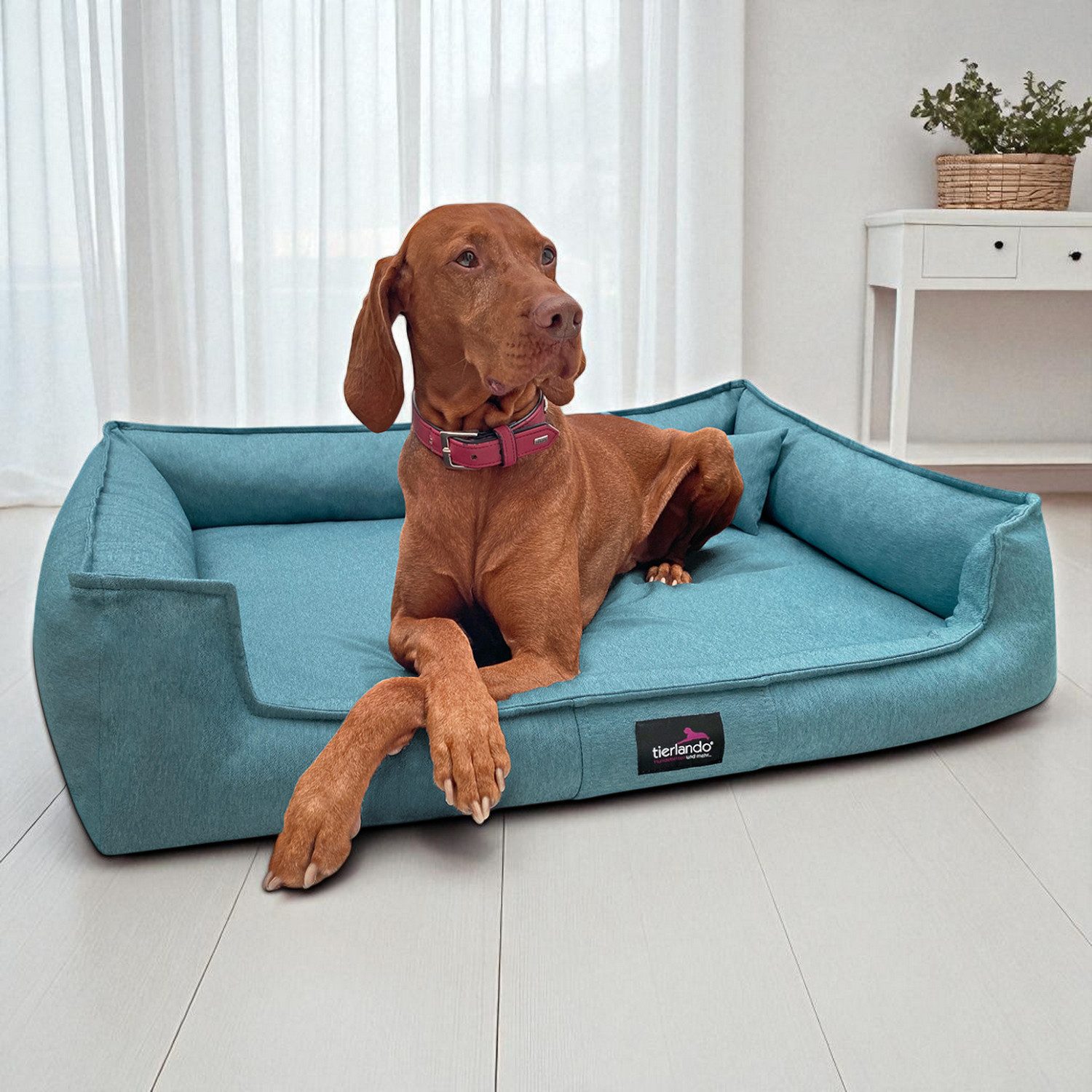 tierlando® Tierbett Orthopädisches Hundebett GUSTAV SCANDI günstig online kaufen