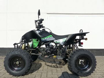 KXD Quad 250 ccm Quad Alpharad Offroad Edition ATV Enduro mit Straßenzulassung