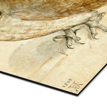 Posterlounge Alu-Dibond-Druck Albrecht Dürer, Käuzchen, Malerei
