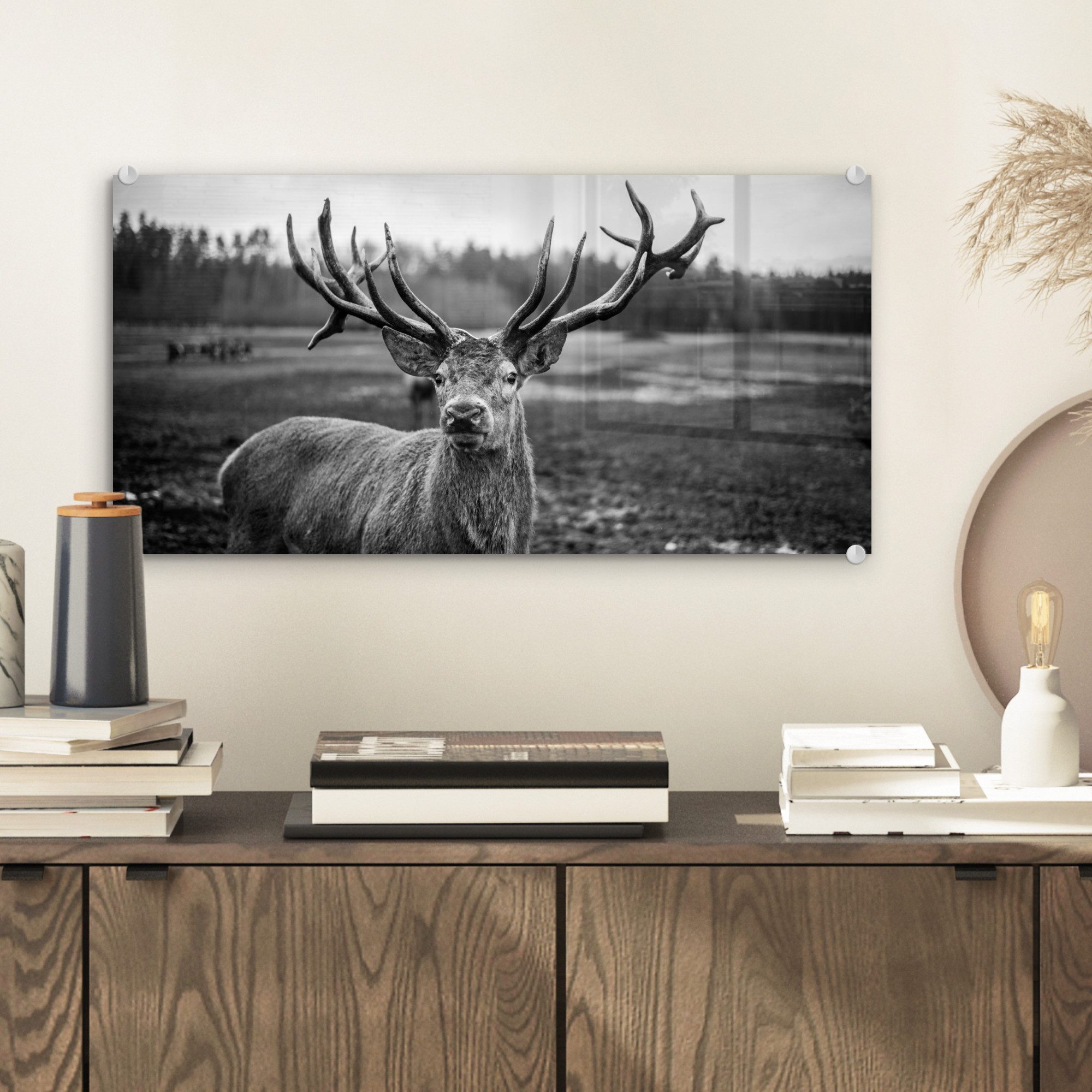 MuchoWow Acrylglasbild Tiere - Hirsch - günstig online kaufen