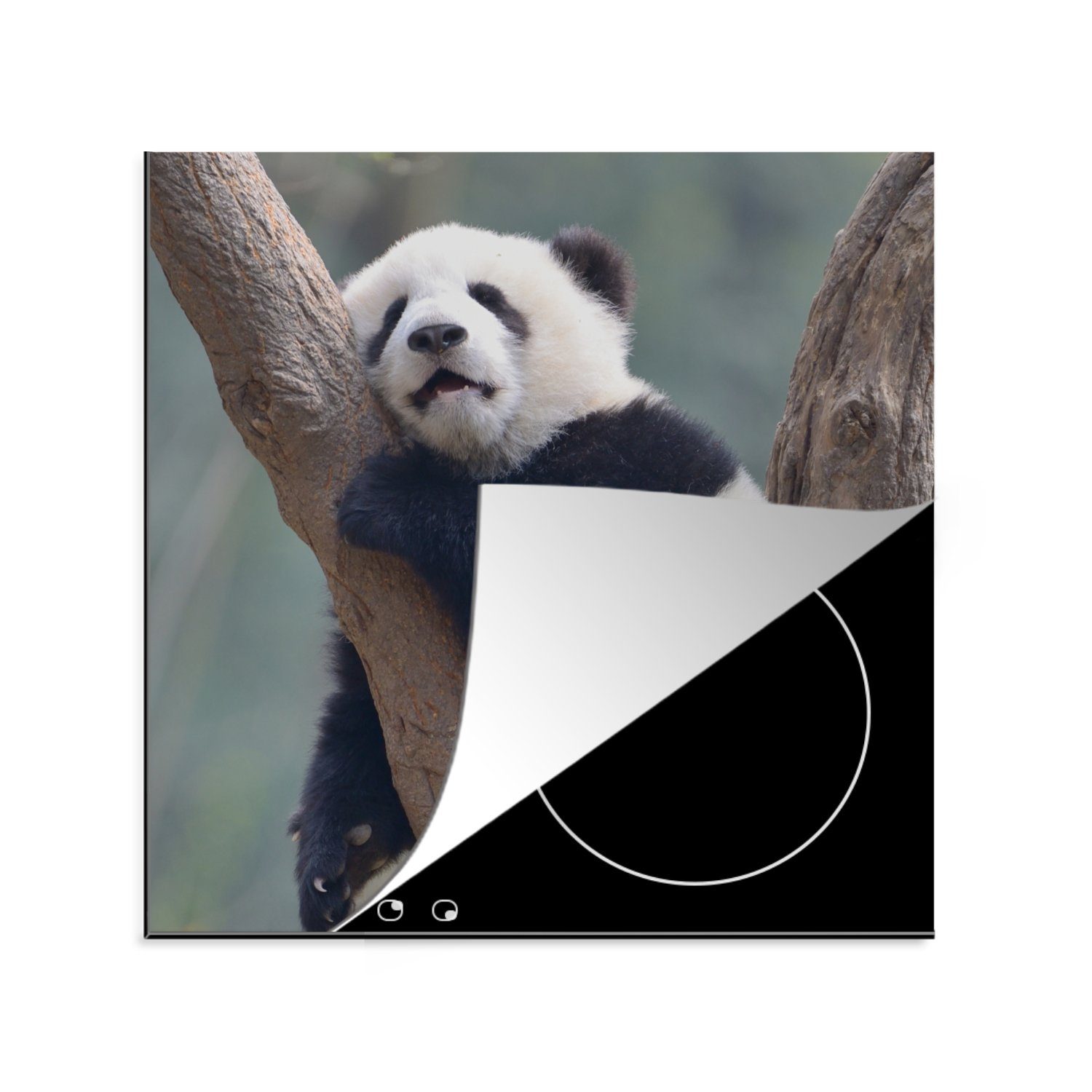 MuchoWow Herdblende-/Abdeckplatte Schlafendes Pandabärenjunges, Vinyl, (1 tlg), 78x78 cm, Ceranfeldabdeckung, Arbeitsplatte für küche