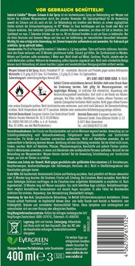 Evergreen Wespenspray Substral Celaflor Wespenschaum & Gel Spray 400 ml