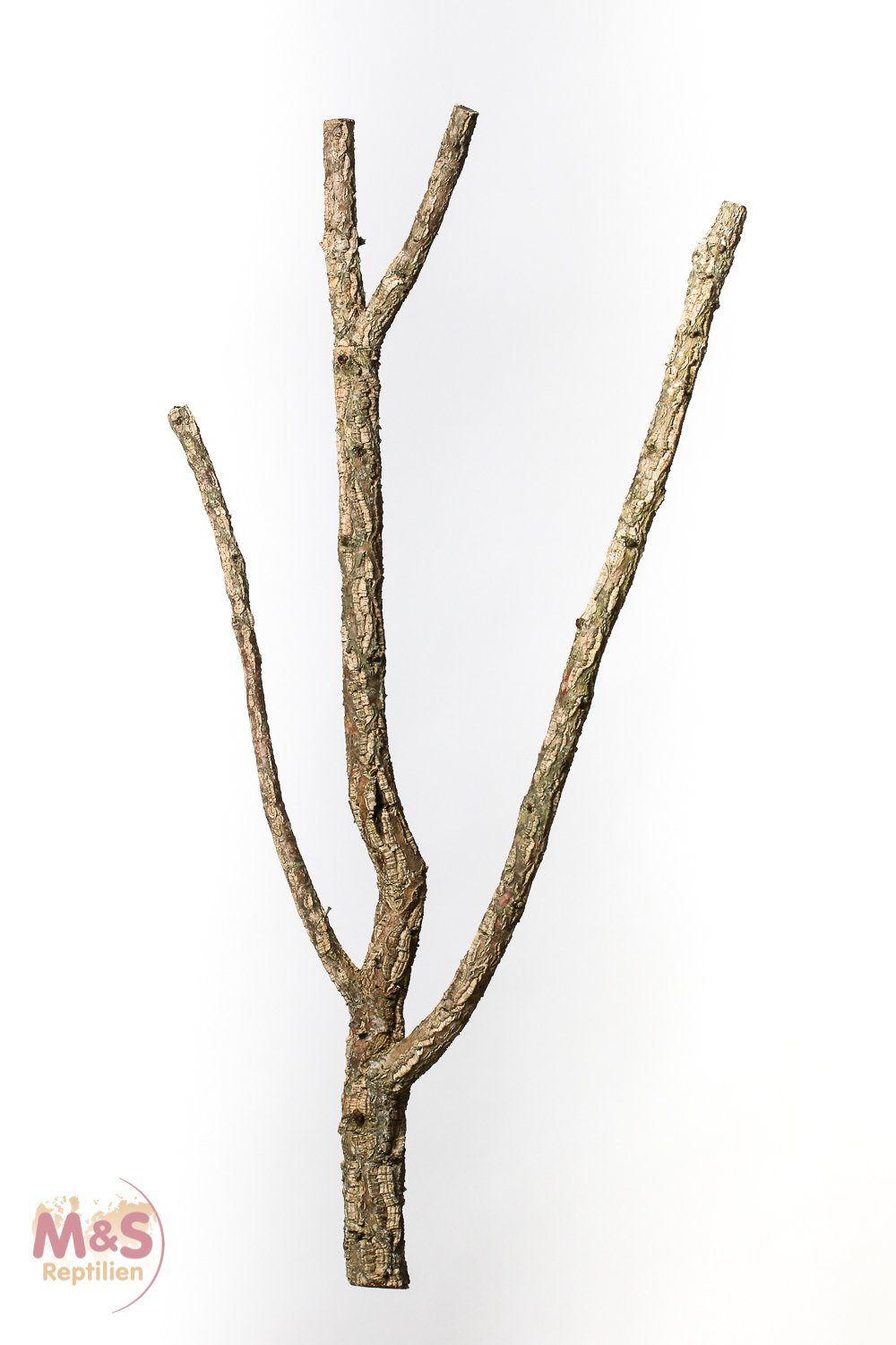 Terrarium Zierkork Tronchos -verzweigt ca.80-100 cm (ca. 2 kg)