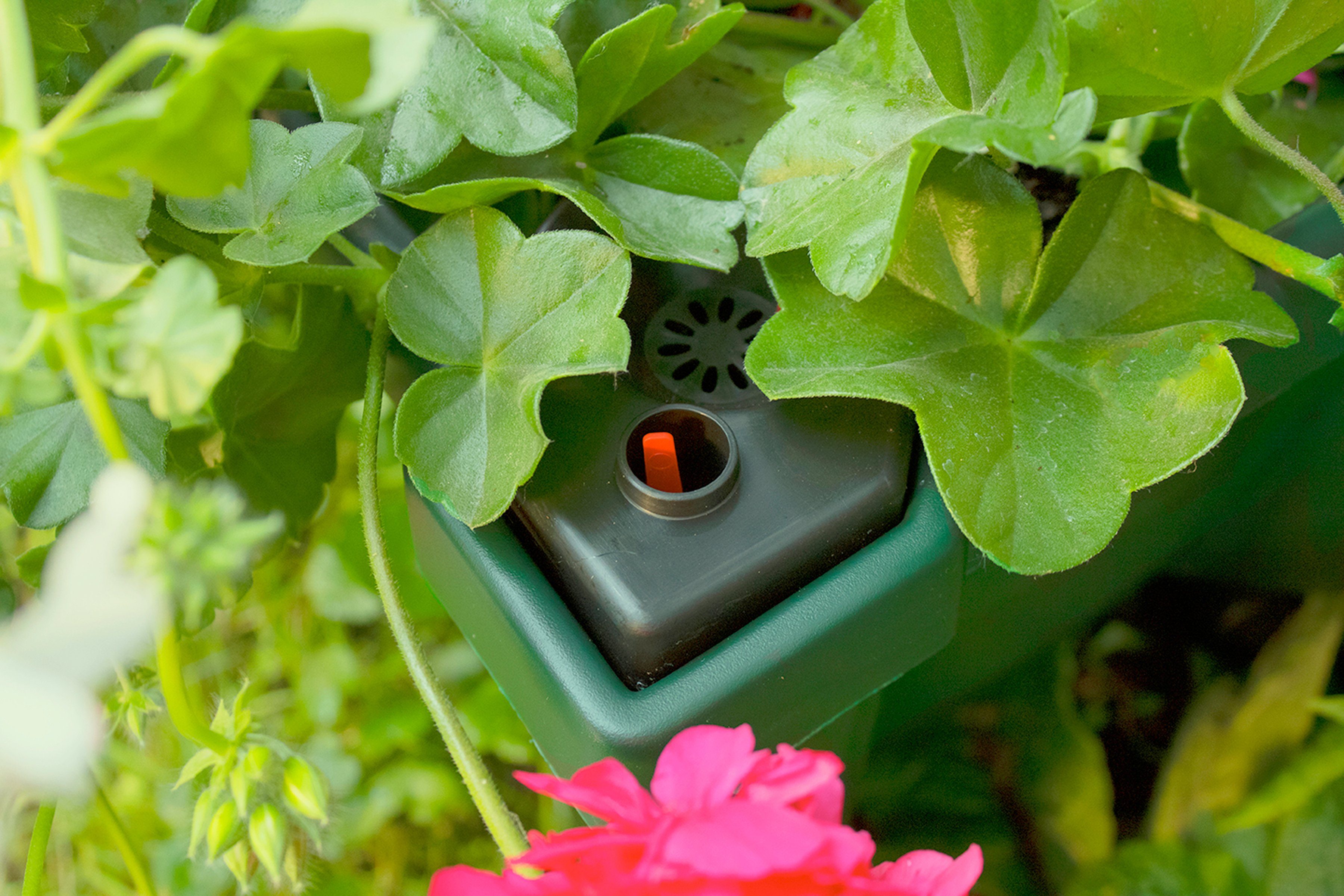 KHW Pflanzkübel, Kunststoff, BxTxH: 79x35x33 cm