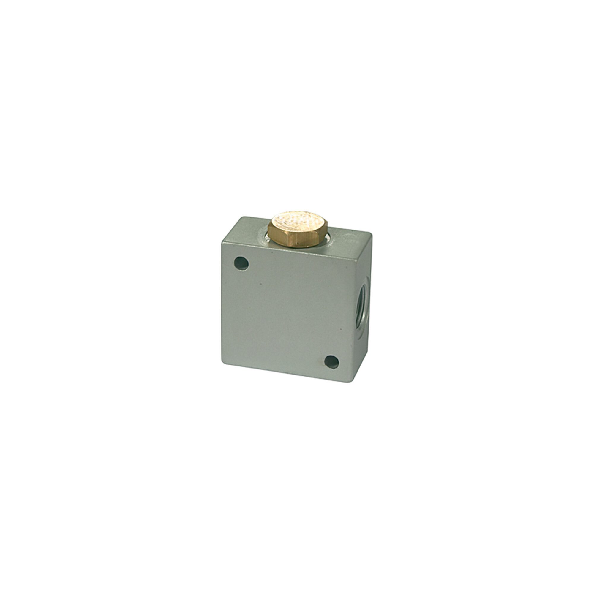RIEGLER Teleskop-Vollauszug Riegler T-Verteiler, G 3/8 Aluminium, SW 25