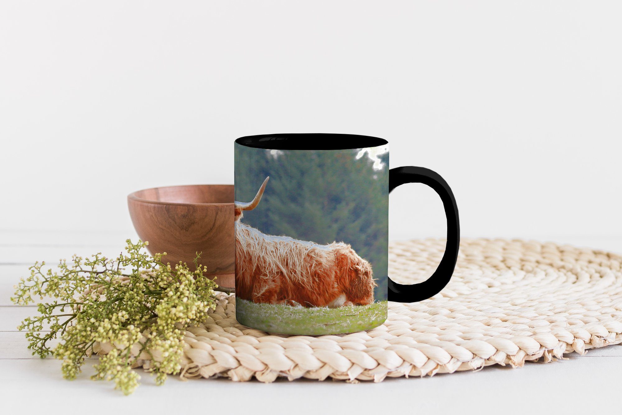 - Keramik, Tasse MuchoWow Highlander Wald, Gras Schottische Kaffeetassen, - Geschenk Farbwechsel, Teetasse, Zaubertasse,