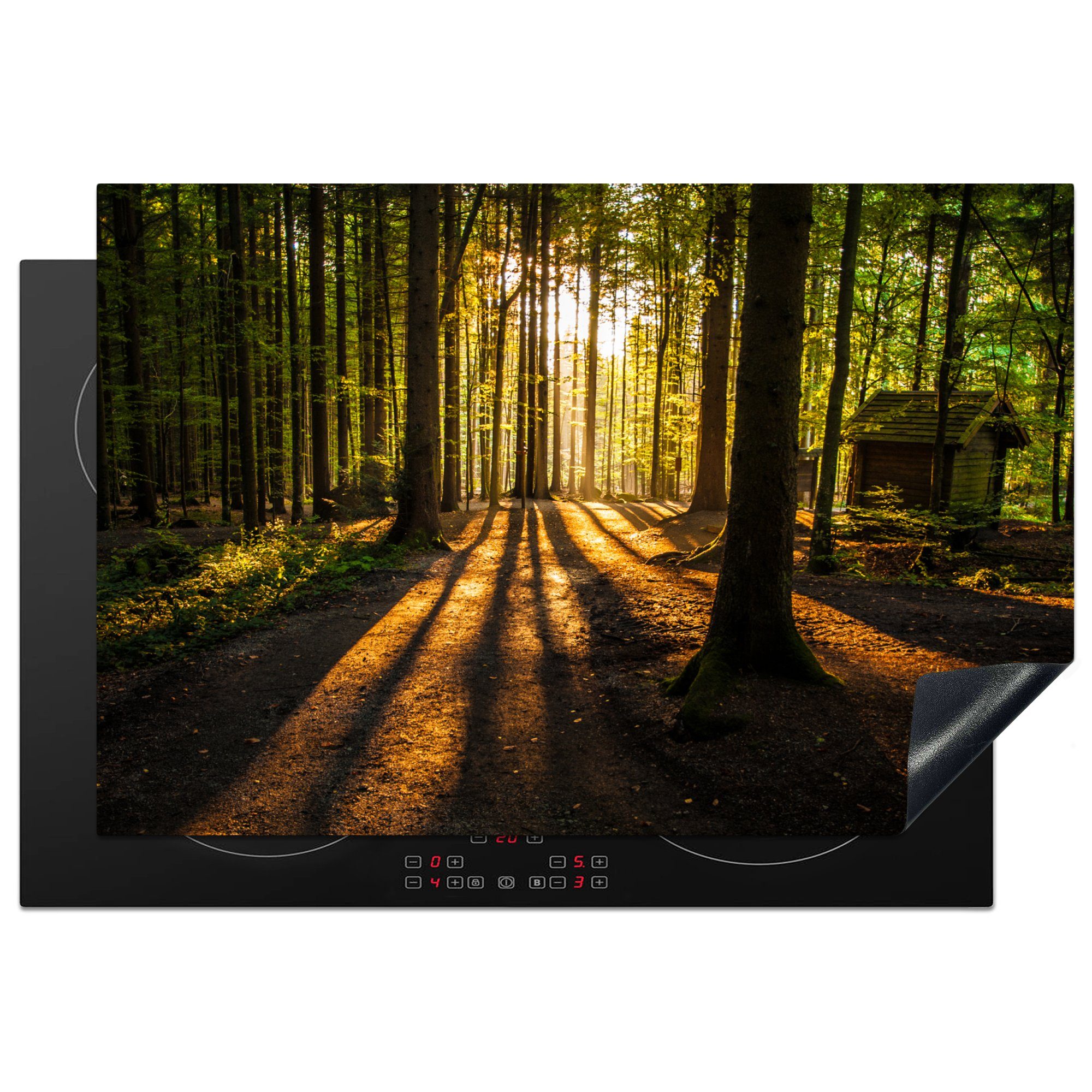 Bäume Wald - Sonne tlg), Arbeitsplatte Landschaft Herdblende-/Abdeckplatte - Ceranfeldabdeckung, MuchoWow cm, küche - für Vinyl, Natur, - 77x51 (1