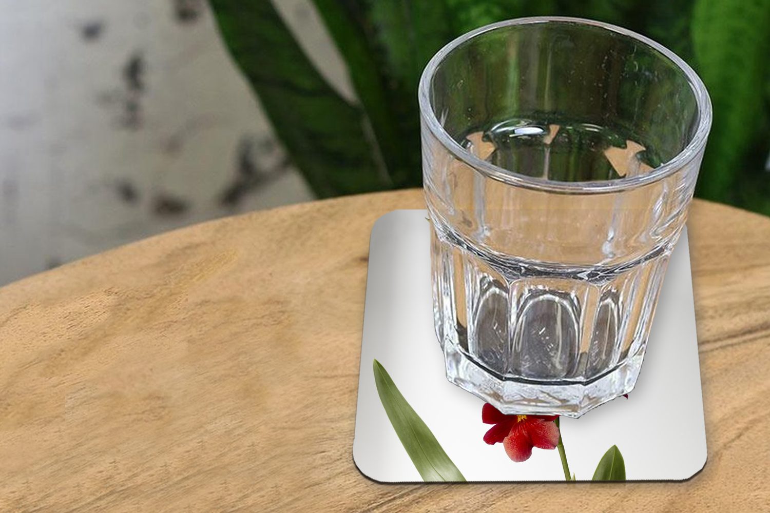 Tasse Blättern Untersetzer, Gläser, Tischuntersetzer, Orchidee Rote MuchoWow Glasuntersetzer auf Zubehör 6-tlg., für mit weißem Korkuntersetzer, Glasuntersetzer, Hintergrund,