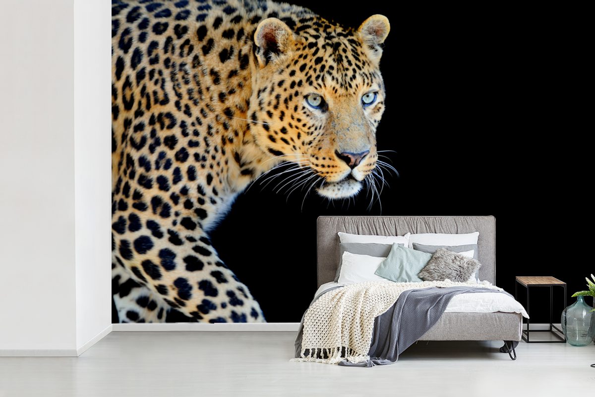 (6 für - Wallpaper Wohnzimmer, Panther Kinderzimmer, MuchoWow bedruckt, Schlafzimmer, Tapete Fototapete Vinyl Jagd - Schwarz, St), Matt,