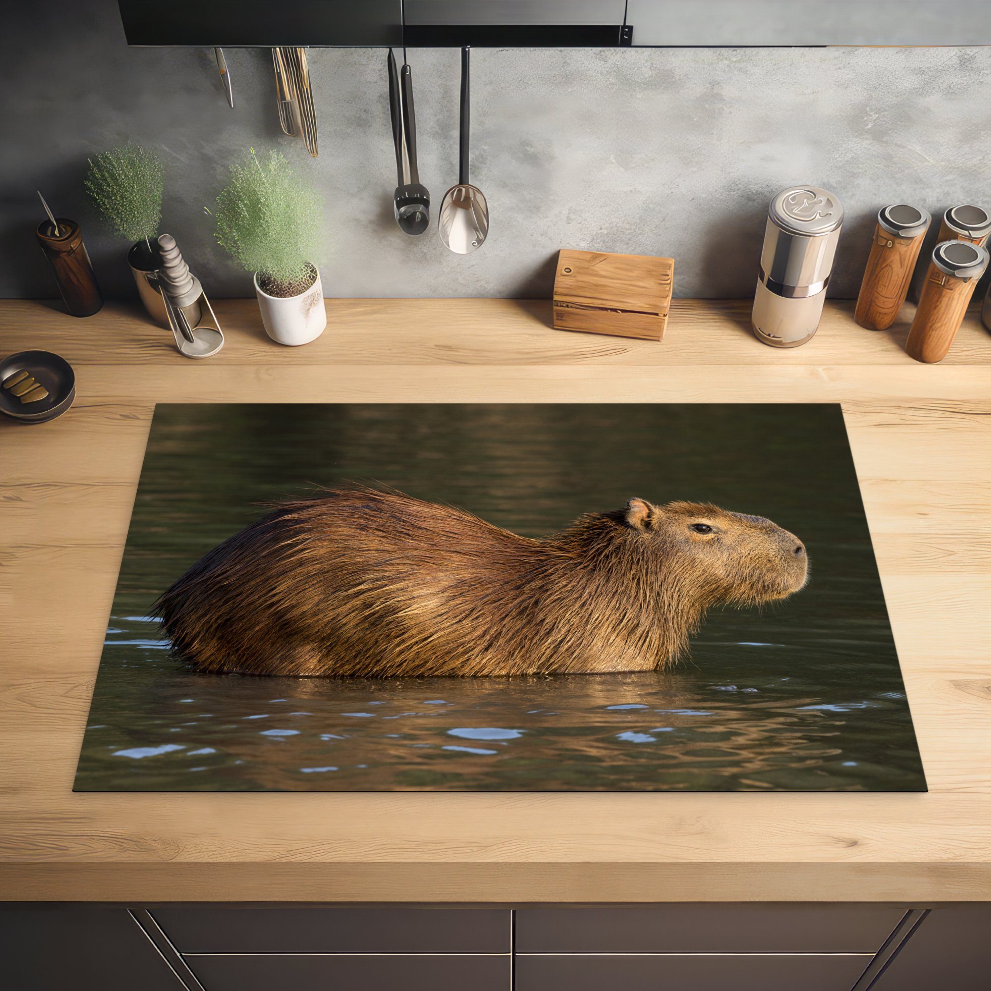 Wasser, 81x52 Vinyl, die cm, im (1 Induktionskochfeld tlg), Ceranfeldabdeckung für küche, steht Ein MuchoWow Capybara Herdblende-/Abdeckplatte Schutz