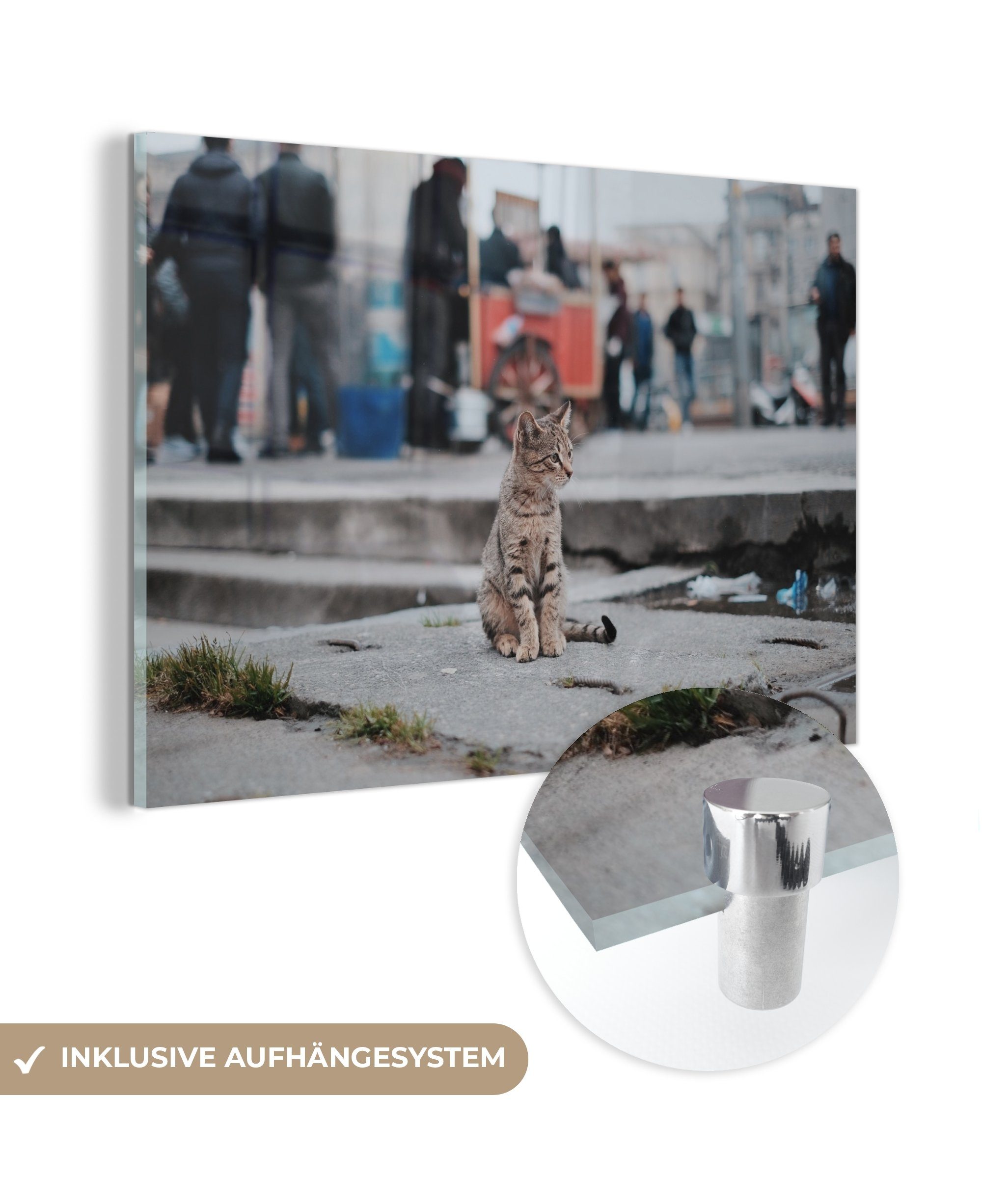 MuchoWow Acrylglasbild New York - Katze - Stein, (1 St), Acrylglasbilder Wohnzimmer & Schlafzimmer