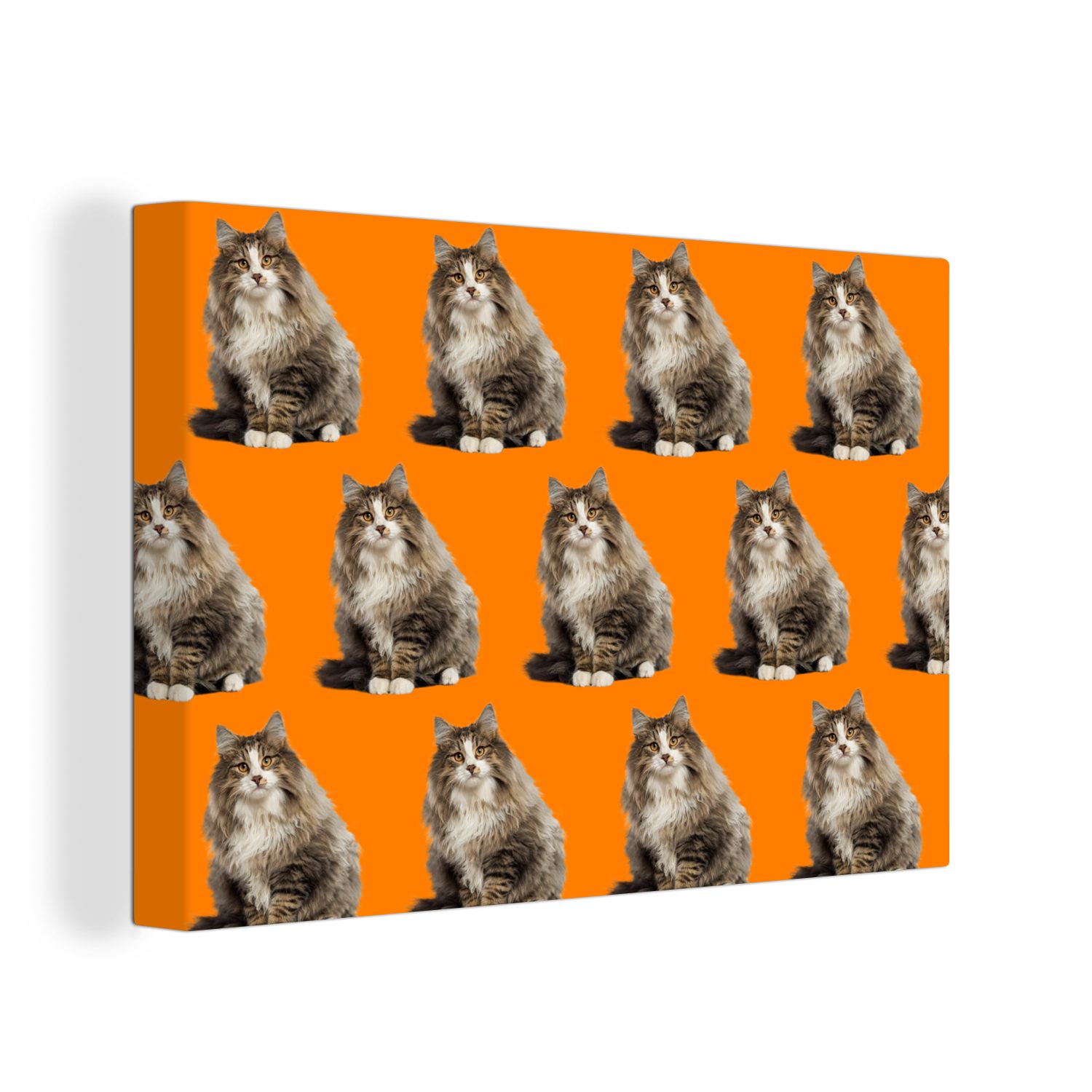 OneMillionCanvasses® Leinwandbild Haustier - Muster Orange, Wandbild St), cm 30x20 (1 - Leinwandbilder, Aufhängefertig, Wanddeko