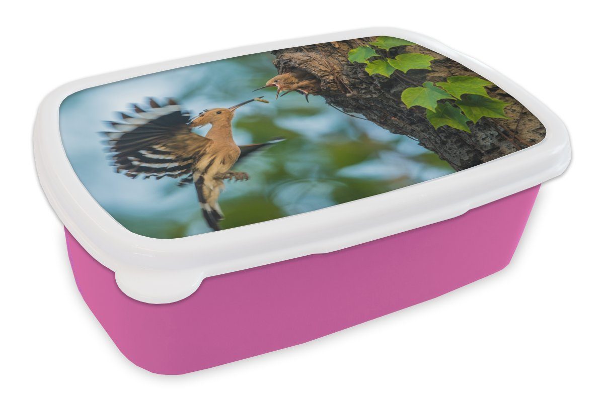 MuchoWow Lunchbox Ein Brotbox Brotdose für Kinder, Nest, (2-tlg), Wiedehopf füttert im Jungen Kunststoff Erwachsene, Kunststoff, Mädchen, seine rosa Snackbox